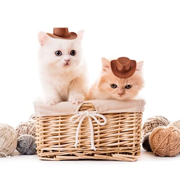 20 Pieces Plastic Mini Western Cowboy Cowgirl Hat Miniature Cute Doll Hat Party Dress Hat for Dollhouse Decoration (Brown,Cute Style)