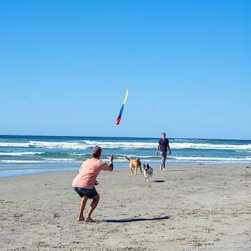 Foxtail Sport - The Original 90s Throw and Catch Outdoor Game (Ages 8+)