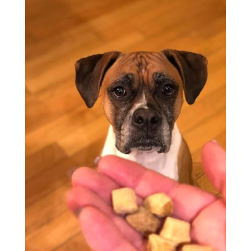 Remy’s Kitchen Freeze-Dried Dog Treats for Health