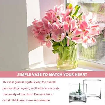 4 x 4 Inch Cylinder Vase,Set of 6 Small Glass Vases for Table Centerpieces,Clear Flower Vases,Decorative Glass Vase for Home Decor,Candle Holder,Wedding Favors(4" W X 4" H)