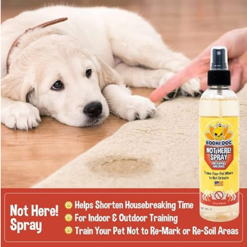 Bodhi Dog Not Here! Spray | Effective Pet Potty Training