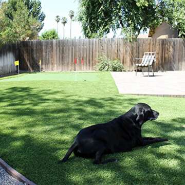 GT LIFE Artificial Grass Rug for Dogs with Drainage Holes