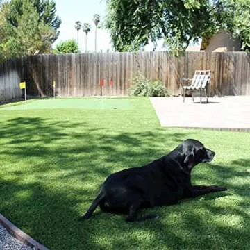 GT LIFE Artificial Grass Rug for Dogs with Drainage Holes