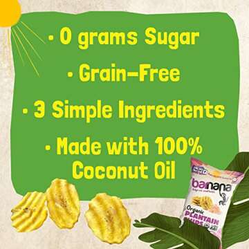 Barnana Plantain Chips with Himalayan Pink Salt - Healthy Snack