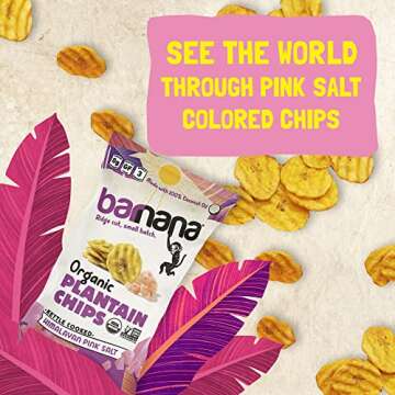 Barnana Plantain Chips with Himalayan Pink Salt - Healthy Snack