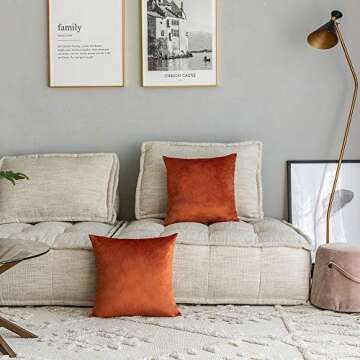 Rythome Set of 2 Comfortable Velvet Throw Pillow Cases Decorative Solid Cushion Covers for Sofa Couch and Bed - 18"x18", Rust