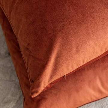 Rythome Set of 2 Comfortable Velvet Throw Pillow Cases Decorative Solid Cushion Covers for Sofa Couch and Bed - 18"x18", Rust