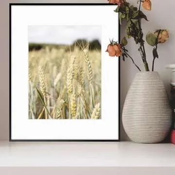 Elegant 6-Piece Metal Photo Frame Set for Home Decor