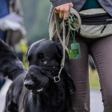 SLSON 3Pack Dog Poop Bag Holder for Leash Lightweight Pet Waste Bag Dispenser with Leash Attachment Portable Plastic Doggie Poop Bag Dispensers,Blue Green Black