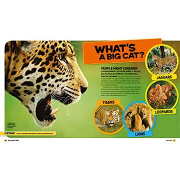 National Geographic Kids Everything Big Cats: Pictures to Purr About and Info to Make You Roar!