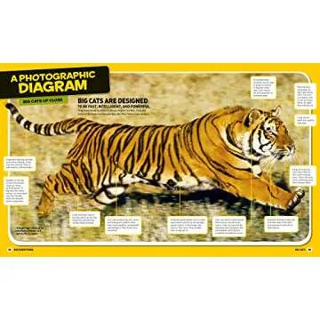 National Geographic Kids Everything Big Cats: Pictures to Purr About and Info to Make You Roar!