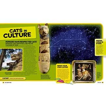 National Geographic Kids Everything Big Cats: Pictures to Purr About and Info to Make You Roar!