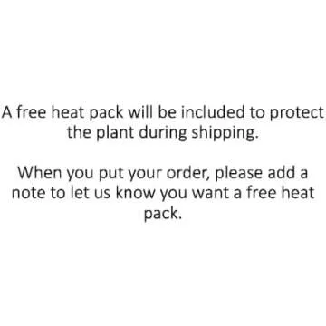 Bloomify Live Sundew Plant Terrarium – Enclosed Ecosystem with Zero Maintenance – Unique Ecosphere Plants for Home Décor – Drosera Spatula Sundew Plant –Great Gift – Self-Sustaining Terrarium