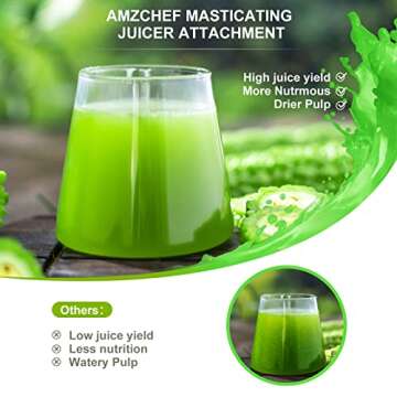 Masticating Juicer Attachment for KitchenAid All Models Stand Mixers, AMZCHEF Masticating Juicer, Sl...