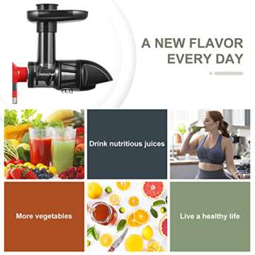 Masticating Juicer Attachment for KitchenAid All Models Stand Mixers, AMZCHEF Masticating Juicer, Slow Juicer Attachment for All KitchenAid Mixers, Cold Press Juicer Parts (Iron black)