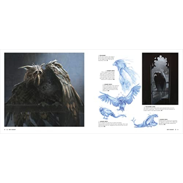 The Art of Fantastic Beasts Book for Fans and Artists