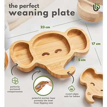 Bamboo Baby Plate with Suction for Safe Mealtimes