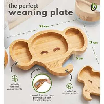 Bamboo Baby Plate with Suction for Safe Mealtimes