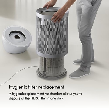 Dyson BP06 HEPA Air Purifier Large Room Formaldehyde Destroyer