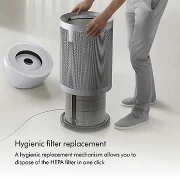 Dyson BP06 HEPA Air Purifier Large Room Formaldehyde Destroyer