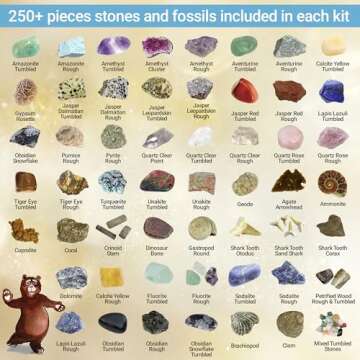 DANCING BEAR Rock, Mineral & Geodes Treasure Hunt Activity Kit (250 Pc Set) Real Shark Teeth Fossils...