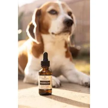 Peaceful Pup - Dog Anxiety & Stress Relief (by Vitality Extracts) - Natural Calm, Ease Anxiety & Stress, Aromatherapy, Lavender Essential Oil, Lemon Essential Oil, in Almond Oil Base