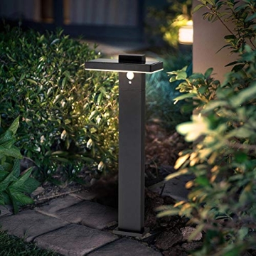 BRIMMEL Solar Landscape Path Light - Outdoor Motion Sensor LED Light in Black