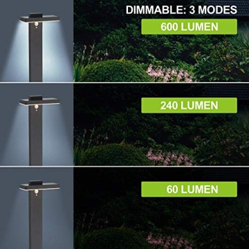 BRIMMEL Solar Landscape Path Light with Motion Sensor