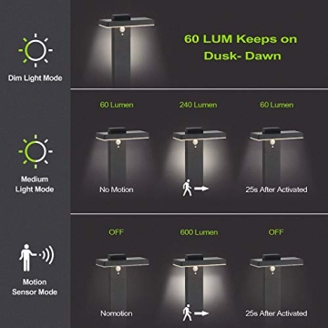 BRIMMEL Solar Landscape Path Light with Motion Sensor