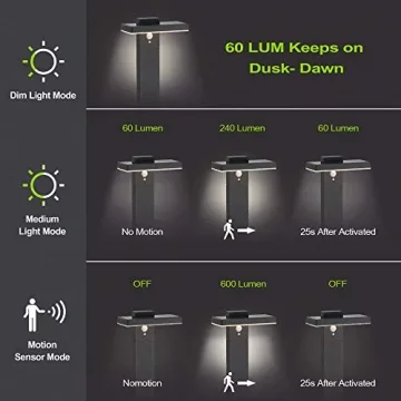 BRIMMEL Solar Landscape Path Light with Motion Sensor