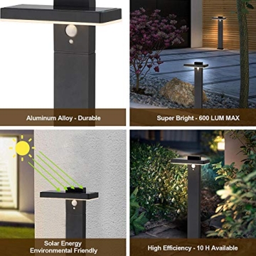 BRIMMEL Solar Landscape Path Light with Motion Sensor