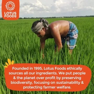 Lotus Foods Gluten-Free Ramen with Miso Soup - Organic & Delicious