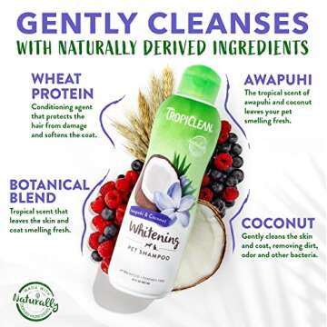 TropiClean Whitening Cat & Dog Shampoo, Puppy & Kitten Safe, Whitening & Brightening, For All Coat & Color Types, Made in the USA, 20oz.