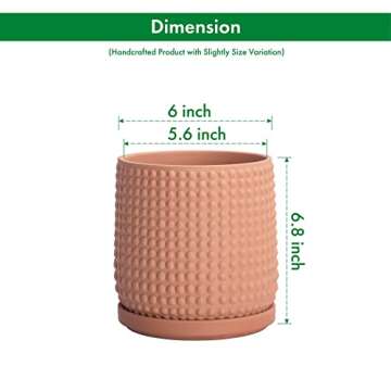 D'vine Dev 6 Inch Terracotta Beaded Planter Pot - Flower Pot with Drainage Hole and Saucer for Indoor Succulent Plants or Flowers, Terracotta, 27-C-X-7