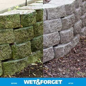 Wet & Forget Moss, Mold, Mildew, & Algae Stain Remover Multi-Surface Outdoor Cleaner Concentrate, Original, 128 Fluid Ounces