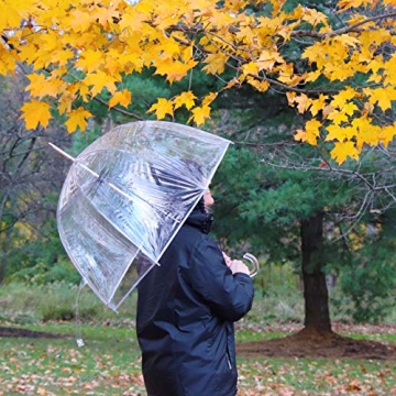Totes Clear Bubble Umbrella - Stylish Rain Protection for Adults