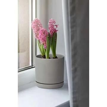 D'vine Dev Set of 2 Plants Pots, 6 Inch Ceramic Planter Pot for Plants with Drainage Hole and Saucer, Speckled Grey, 94-V-C-3