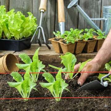 BSRHOME 600 Ft Nylon Twine Garden Line Reel