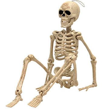 e Crafty 16" Halloween Skeleton with Movable Joints for Spooky Decor