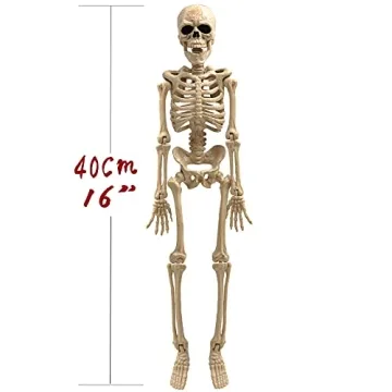 e Crafty 16" Halloween Skeleton for Haunted House Decor