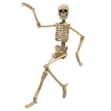 e Crafty 16" Halloween Skeleton for Haunted House Decor