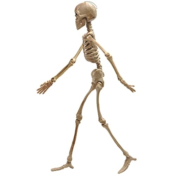 e Crafty 16" Halloween Skeleton for Haunted House Decor