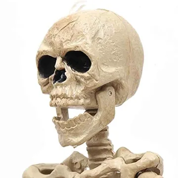 e Crafty 16" Halloween Skeleton for Haunted House Decor