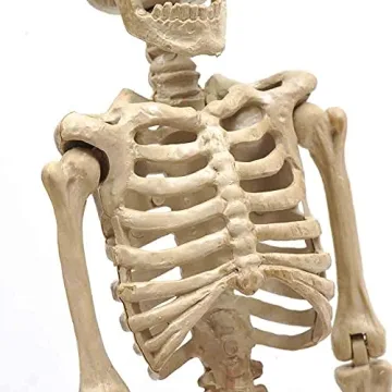 e Crafty 16" Halloween Skeleton for Haunted House Decor