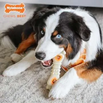Nylabone Chew & Treat Toy for Large Dogs, Tough & Fun
