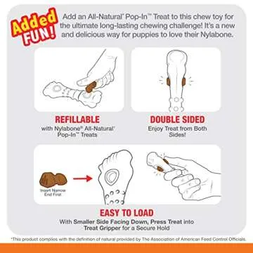 Nylabone Chew & Treat Toy for Large Dogs, Tough & Fun