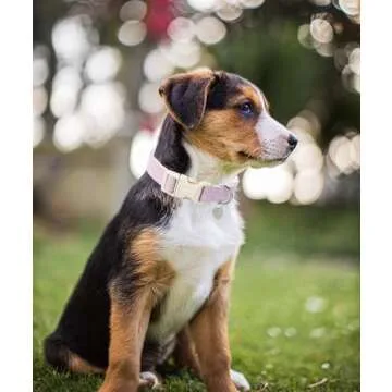 DOGWONG Cotton Hemp Dog Collar - Adjustable & Durable