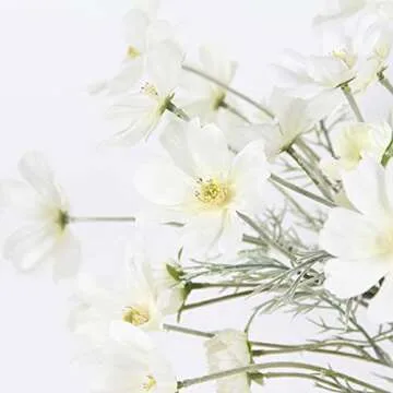 2 Pcs Artificial Fake Flowers Plants Cosmos Silk Flower Arrangements Wedding Bouquets Decorations Plastic Floral Table Centerpieces for Home Kitchen Garden Party Decor Approx 23.6'' High - White