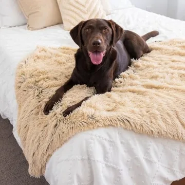 Best Friends by Sheri Calming Shag Dog Blanket for Pets