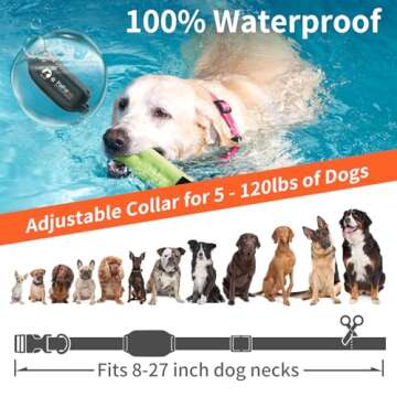 PaiPaitek No Shock Ultimate Training Dog Collar